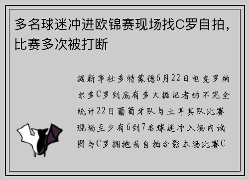 多名球迷冲进欧锦赛现场找C罗自拍，比赛多次被打断
