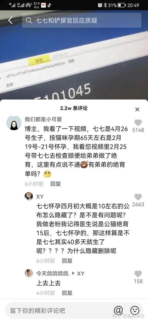 七七和铲屎官娱乐吃瓜君